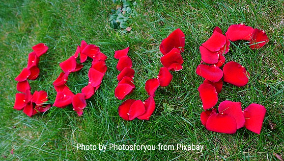 God is love. Love Flowers