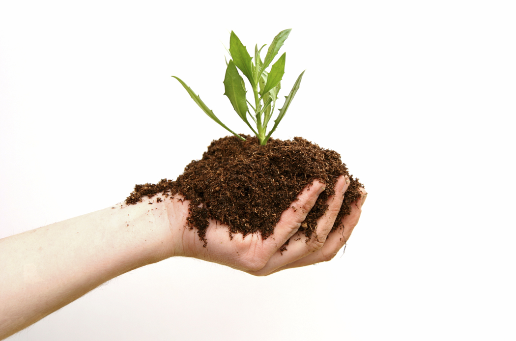 The Law of Abundance is like soil. Planting in Soil